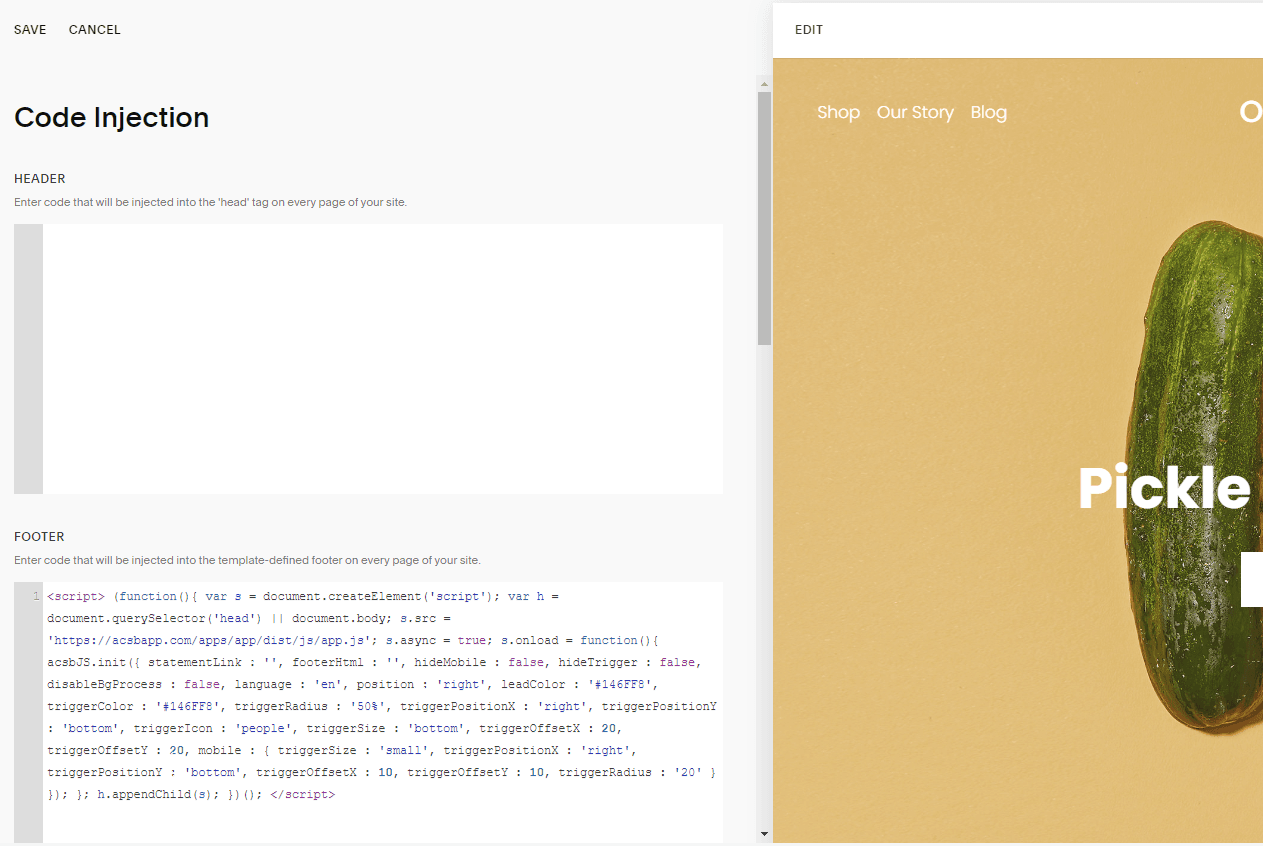 Screenshot of SquareSpace Dashboard Website Tools Code Injection Footer Section SquareSpace Dashboard Website Tools Code Injection Footer Section